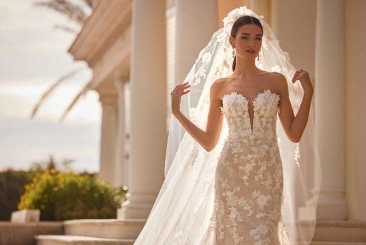 Short Wedding Dresses: The 27 Best Gowns + Faqs  Short wedding dress, Short  bride dresses, Modern short wedding dress